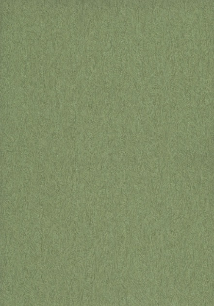 Изображение Andrea Rossi Razolli 54189-6