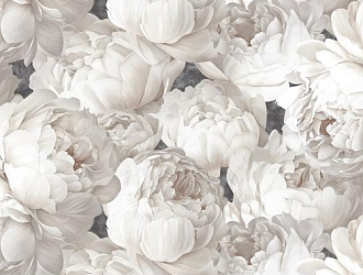 Victoria Stenova Peony 585338