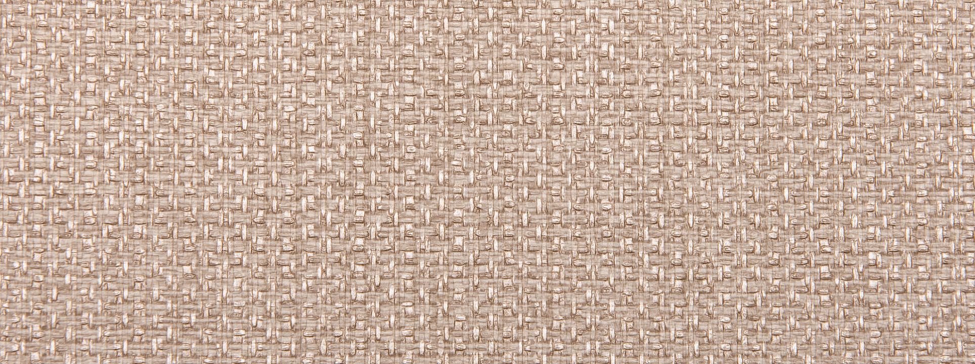 Изображение Alessandro Allori Barbara 2609-4