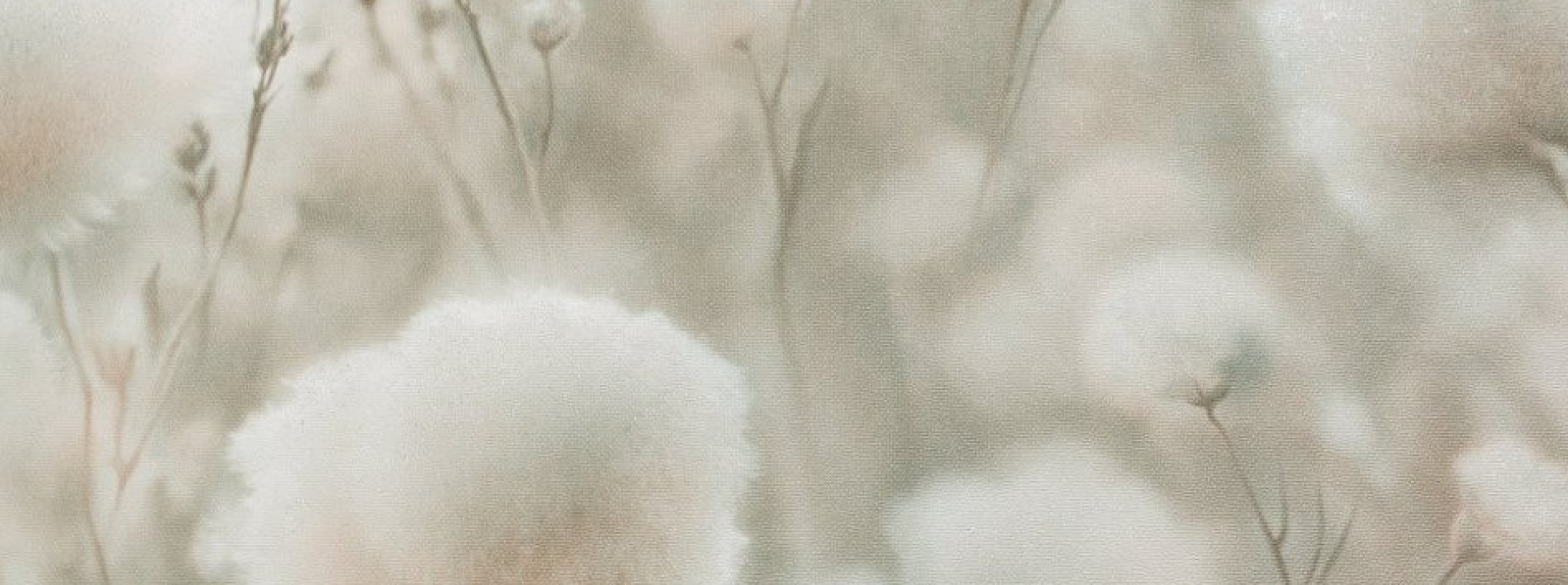 Изображение Палитра Cottonia 72543-72