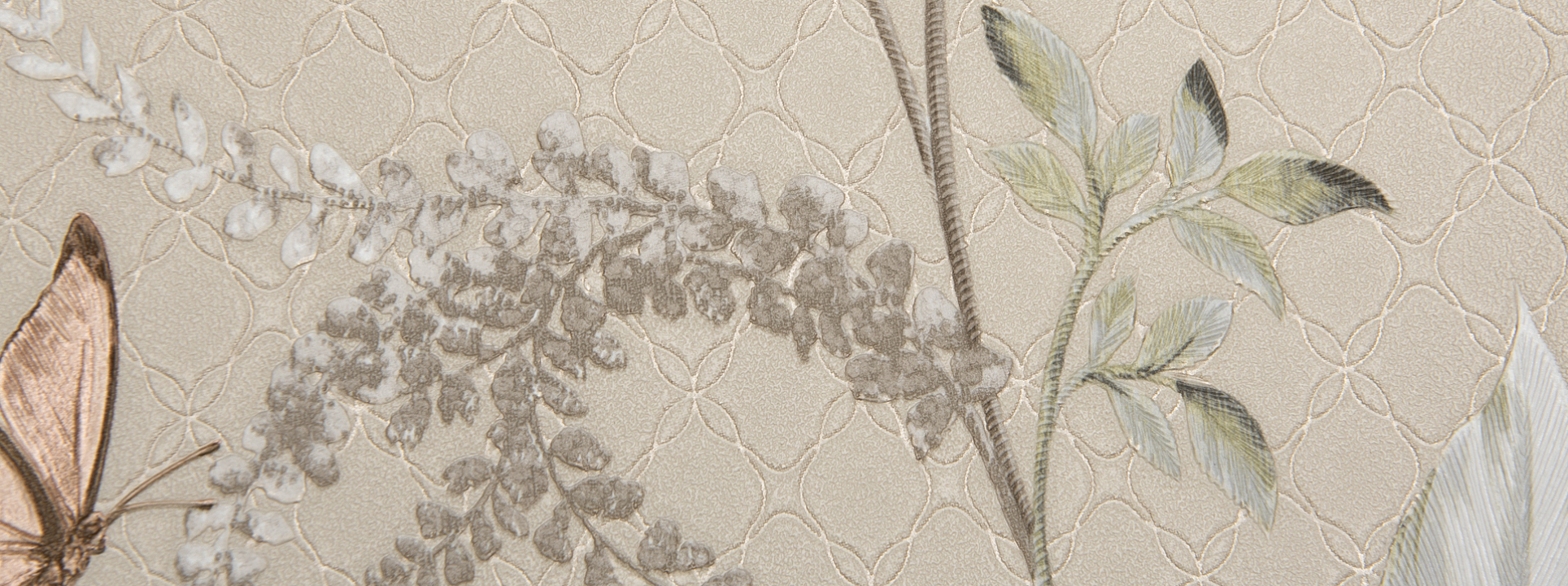 Изображение Andrea Rossi Gallinara 54316-3