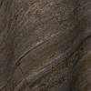 Rasch Curiosity 537055 — картинка №3