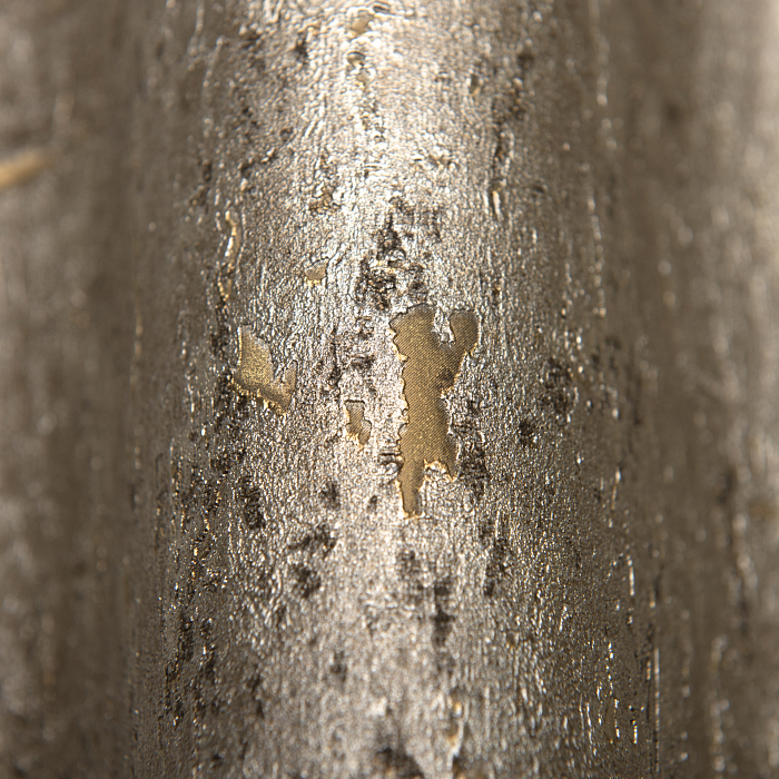 Rasch Curiosity 538342 — картинка №2