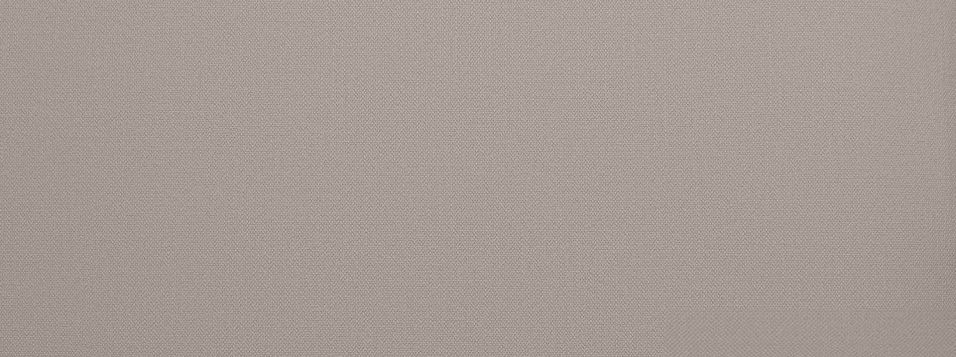 Изображение Alessandro Allori Rebecca 15003-4