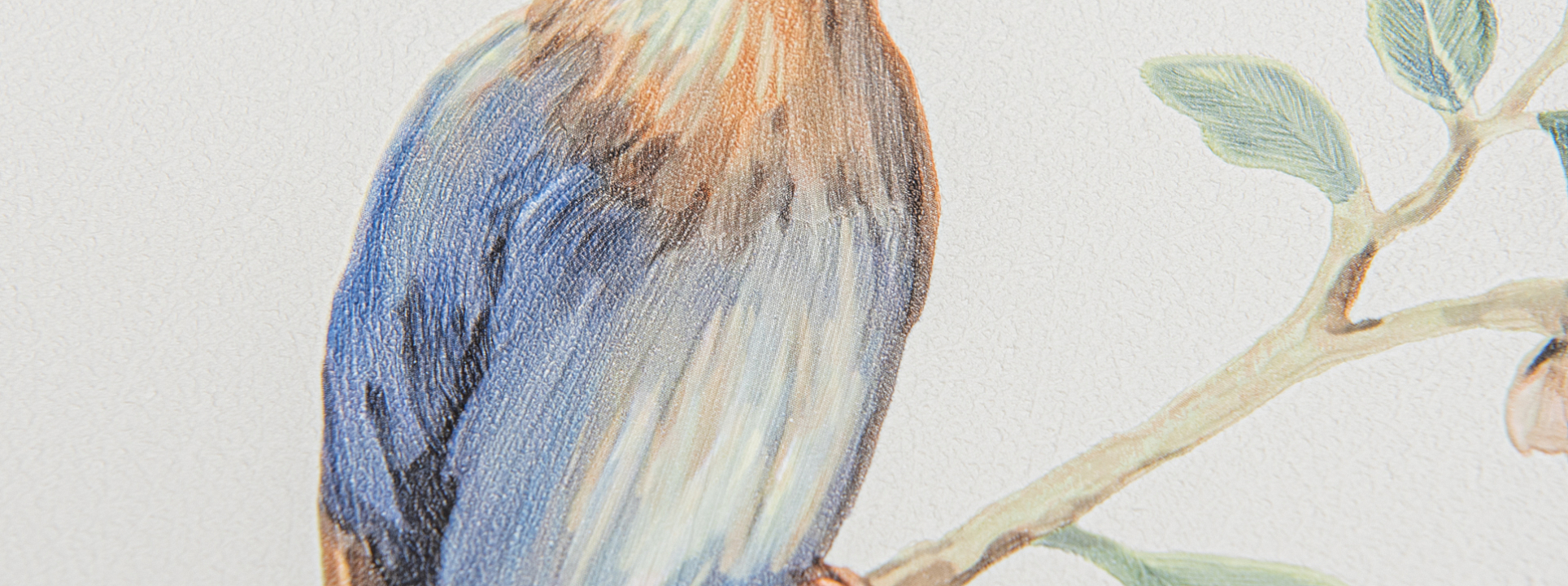 Изображение Andrea Rossi Cheradi 54396-1